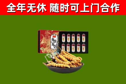 蒲县回收冬虫夏草价格