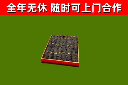 蒲县回收海参
